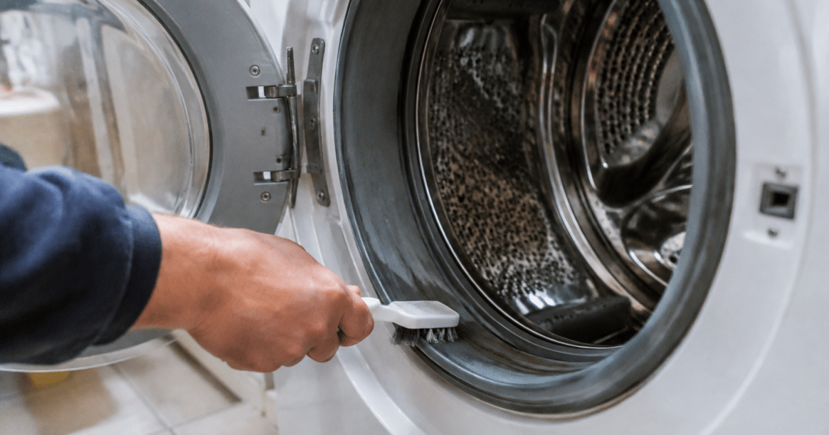 Main tenant une brosse dans le joint horizontal de lave-linge ouvert