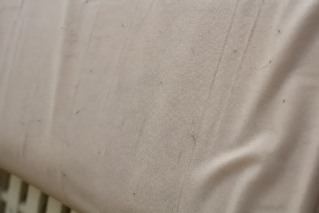 Toile beige avec legere accumulation poussiere grise